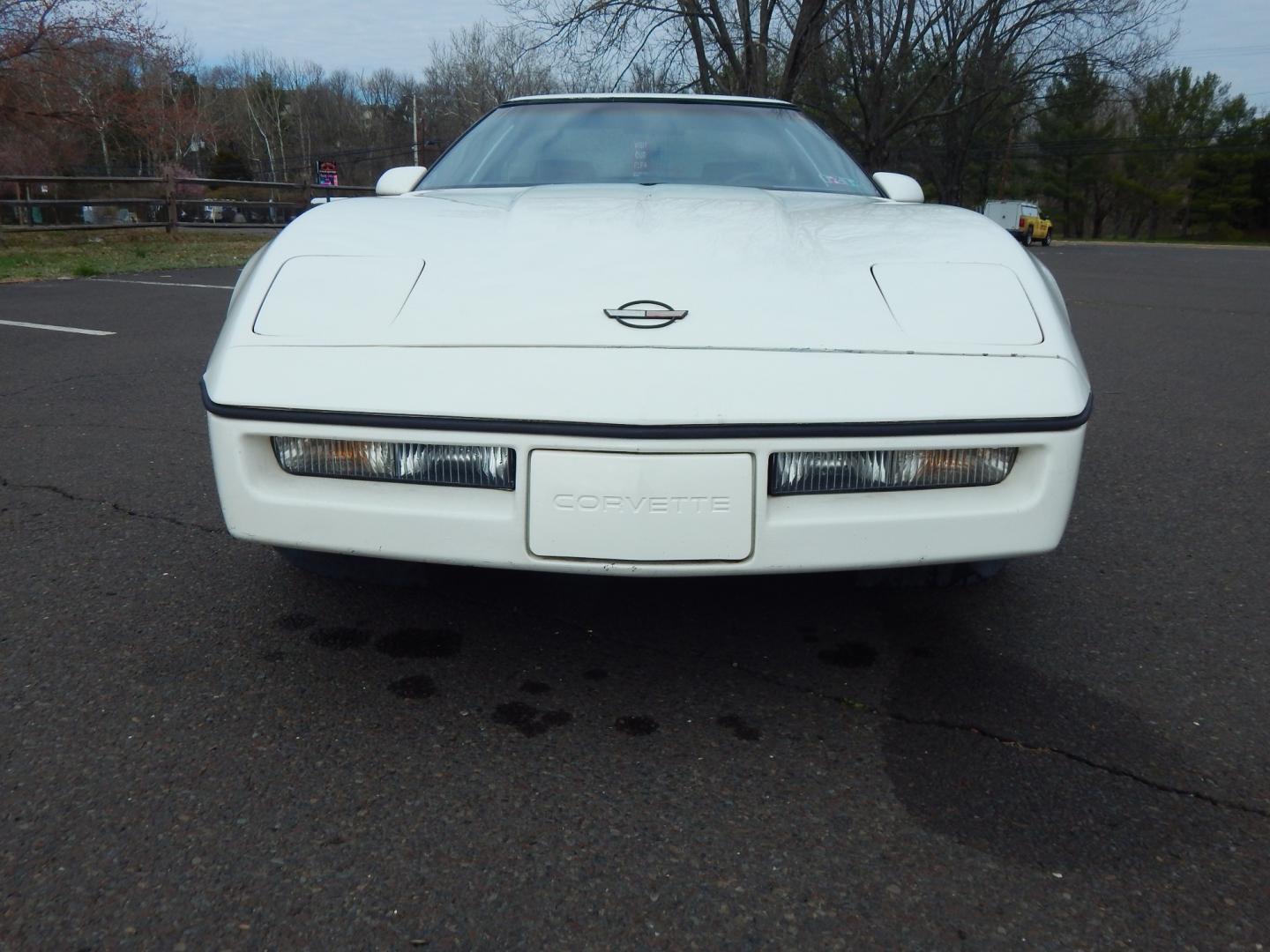 1984 White /Black leather Chevrolet Corvette (1G1AY0789E5) , located at 6528 Lower York Road, New Hope, PA, 18938, (215) 862-9555, 40.358707, -74.977882 - Here for sale is a good running 1984 Chevrolet Corvette Coupe. Under the hood is a strong 5.7 liter V8 which puts power to the rear wheels via a good shifting automatic transmission. Seats are recently reupholstered in Black leather and look great. Removable targa top. Power windows, power locks, - Photo#6